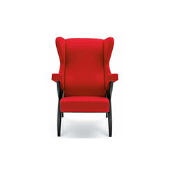 Fiorenza扶手椅 弗朗科·阿尔比尼  arflex家具品牌